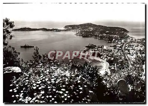 Cartes postales moderne Cote d'Azur Beaulieu sur Mer et le Cap Ferrat Vue panoramique