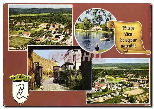 Cartes postales moderne Bitche Moselle Le Camp L'Etang La citadelle