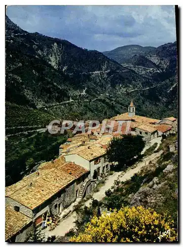 Cartes postales moderne La Cote d'Azur miracle de la nature Sainte Agnes Alpes Maritimes