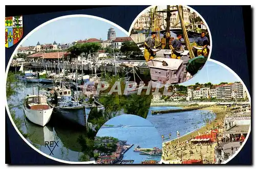 Cartes postales moderne St Jean de Luz PA Station Balneoire Port Sardinier et Thanier