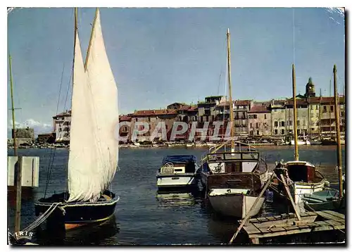 Cartes postales moderne Saint Tropez Var Le Port