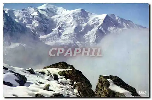 Cartes postales moderne Chamonix Mont Blanc Le Mont Blanc depuis la Flegere