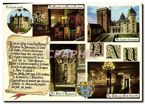 Cartes postales moderne Pau Souvenir du Chateau de Pau