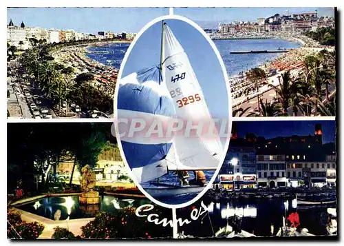 Cartes postales moderne Reflets de la Cote d'Azur Cannes AM