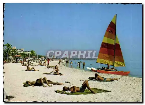 Cartes postales moderne Key West Beaches offer year round swimming sailing and sunbathing Catamaran
