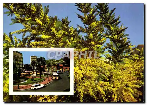 Cartes postales moderne La Cote d'Azur Embaument Toulon