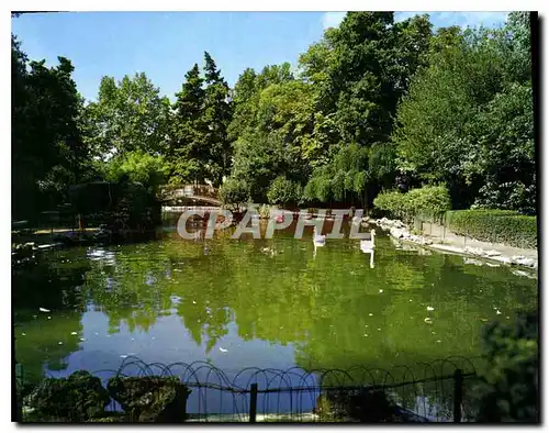 Cartes postales moderne Olonzac Herault Parc Municipal Bassin aux Cygnes