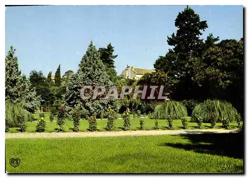 Cartes postales moderne Olonzac Herault Parc Municipal