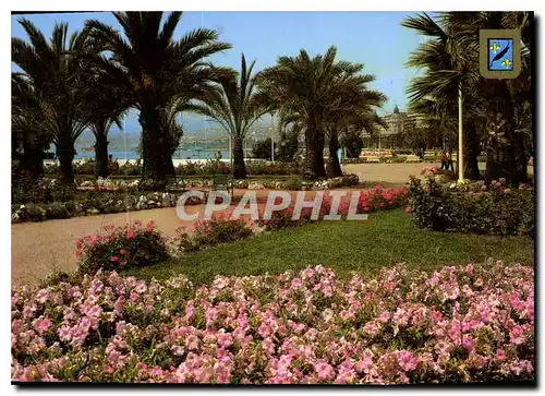 Cartes postales moderne Cannes Une partie des jardins fleuris de la Croisette