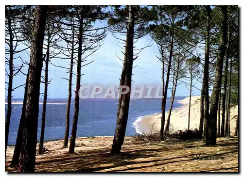 Moderne Karte Visage des Landes Bord de Mer