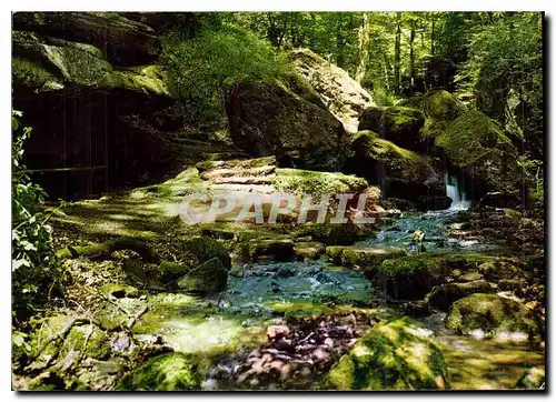 Cartes postales moderne Petite Suisse Luxembourgeoise Hallerbach Promenade H Beaufort Haller