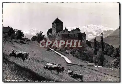 Cartes postales moderne Furstentum Liechtenstein