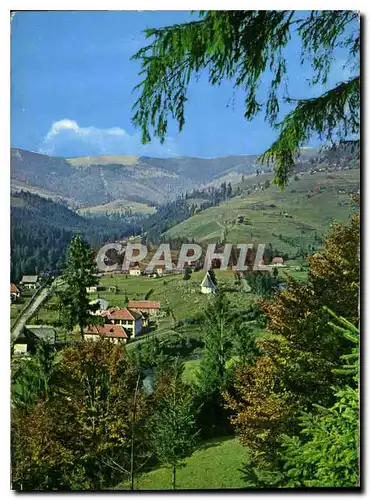 Cartes postales moderne Paysage des Carpathes Occidentaux