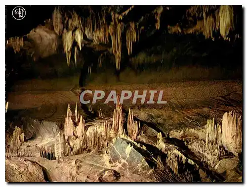 Cartes postales moderne Grottes de Han Lesse Salle des Draperies