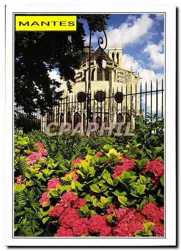 Cartes postales moderne Mantes Yvelines Collegiale Notre Dame