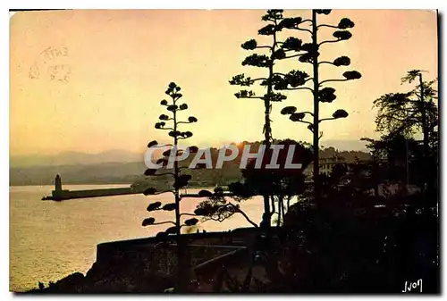 Cartes postales moderne La Cote d'Azur miracle de la nature Nice Alpes Maritimes Coucher de soleil sur le port