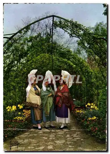 Cartes postales moderne La Normandie Jeunes filles d'Aubigny Sainte Honorine du Fay Falaise