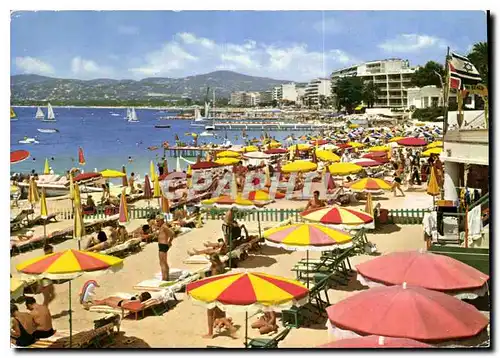 Cartes postales moderne Juan les Pins Les Plages de la Pinede