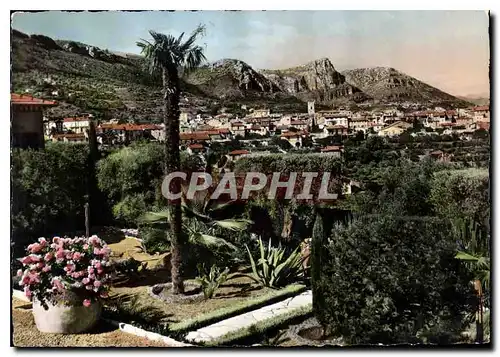 Cartes postales moderne Vence La Jolie AM Vue generale entre les fleurs