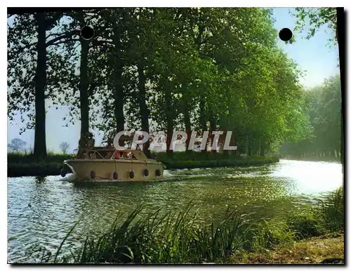 Cartes postales moderne Paysages du Languedoc Promenade sur le canal du midi