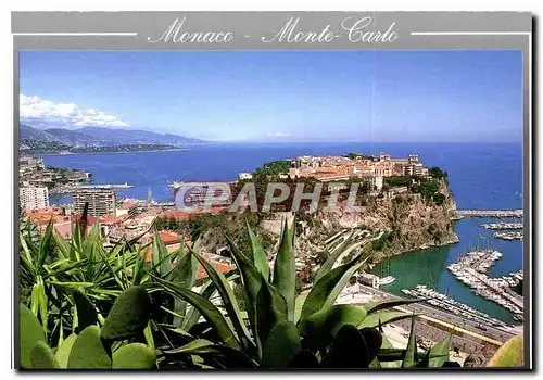 Cartes postales moderne Monaco Monte Carlo