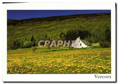 Cartes postales moderne Vercors Les Quatre Montagnes Le printemps