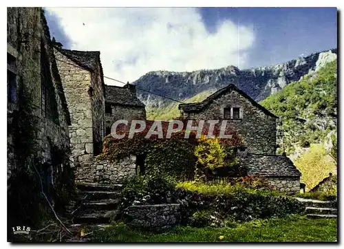 Moderne Karte Dans les Gorges du Tarn Vieilles maisons