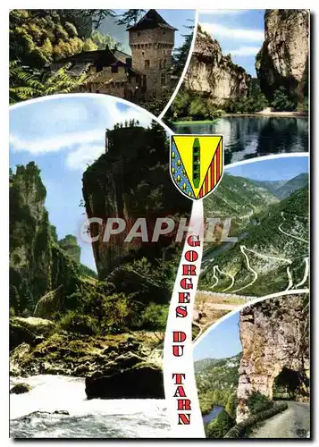 Cartes postales moderne Gorges du Tarn Chateau de la Cage