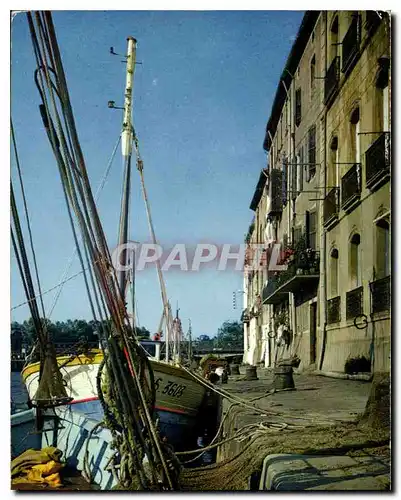 Cartes postales moderne Agde Herault Le Quai