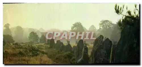 Cartes postales moderne Le Bretagne en Couleurs Carnac Les alignements de Kerlescan