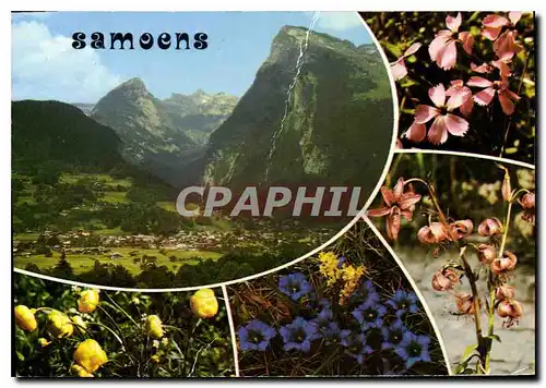 Cartes postales moderne Samoens Haute Savoie