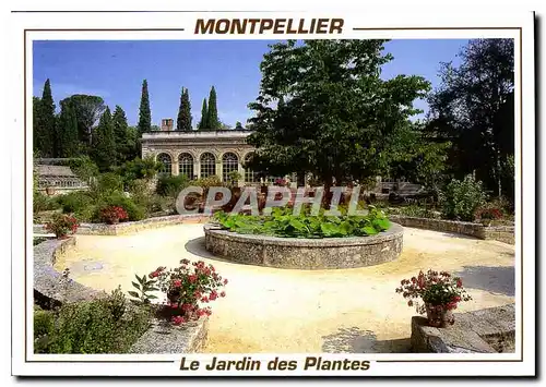 Cartes postales moderne Montpellier Le Jardin des Plantes