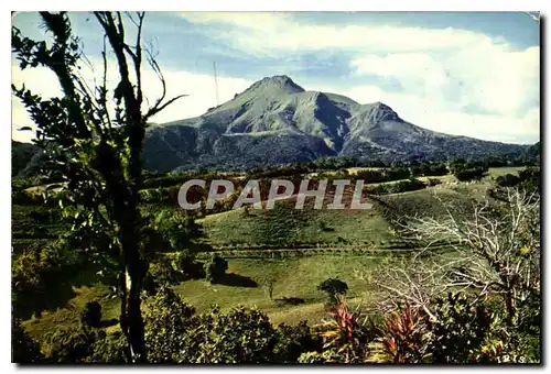 Cartes postales moderne Martinique Des Mornes vue sur la montagne Pelee