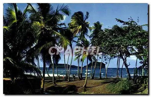 Cartes postales moderne Martinique Bords de mer a Ste Marie