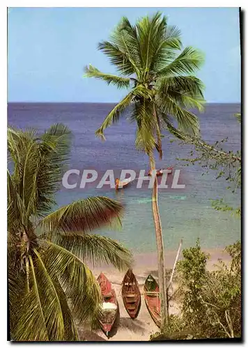 Moderne Karte Martinique Anse d'Arlets Promenade en mer a l'Anse Dutour