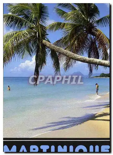 Cartes postales moderne Martinique Il etait une fois la Martinique Plage des Salines