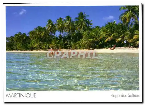 Cartes postales moderne Martinique Plage des Salines