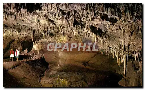 Cartes postales moderne Grottes de Han s Lesse L Entree de la Salle des Draperies