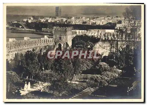 Cartes postales moderne Maroc Pays des Aurores et des Crepuscules Rabat