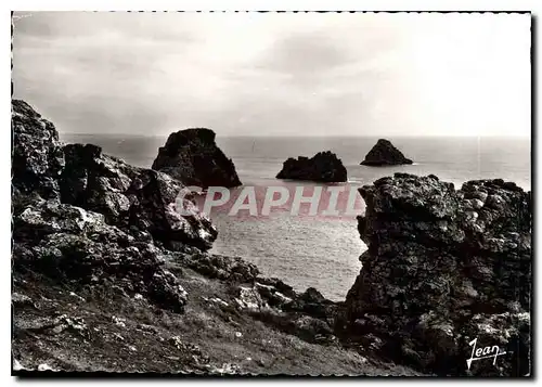 Cartes postales moderne Camaret Finistere Les Tas de pois