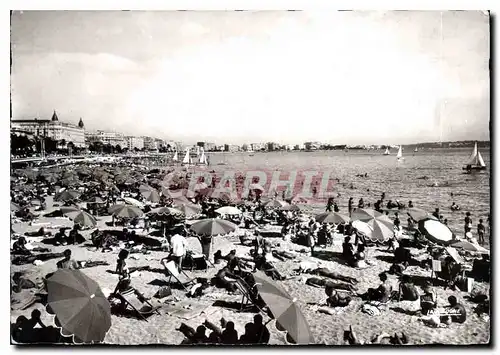 Cartes postales moderne Cannes AM Vue d'ensemble des Plages