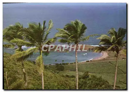 Moderne Karte Martinique Paysage de la presqu'ile de la Caravelle a Tartane