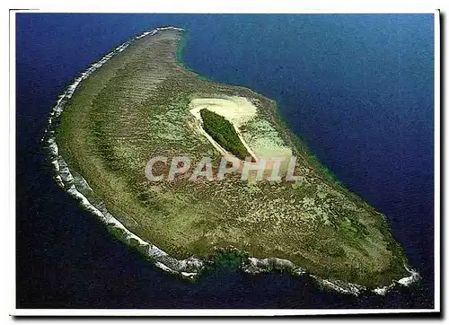 Cartes postales moderne Ilot et sa couronne de corail
