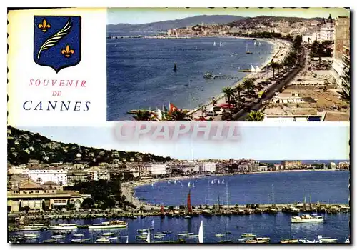 Cartes postales moderne Souvenir de Cannes La Croisette et le Suquet