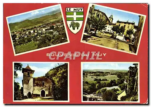 Cartes postales moderne Le Muy Souvenir du Muy Var