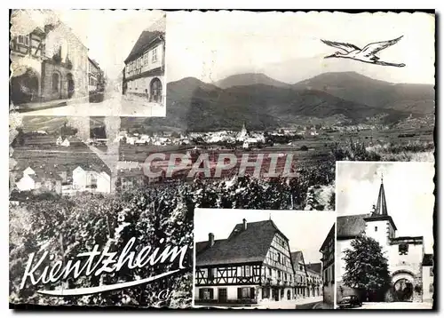 Moderne Karte Kientzheim Haut Rhin Vue generale La Grand Rue et la Mairie Maison Rittman Vieille porte
