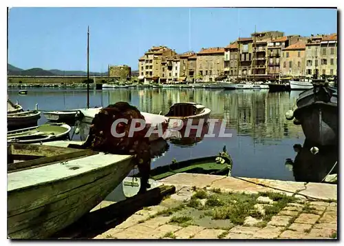 Cartes postales moderne Var Cote d'Azur Saint Tropez Le Port