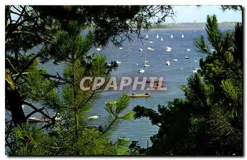 Cartes postales moderne Bassin d'Arcachon Gironde Un tres joli coin du Bassin pres de la Pointe aux Chevaux en face Arca