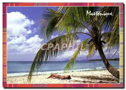 Cartes postales moderne Martinique Plage des Salines