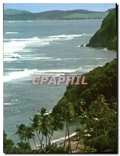 Moderne Karte Martinique Paysage sur la Cote Atlantique